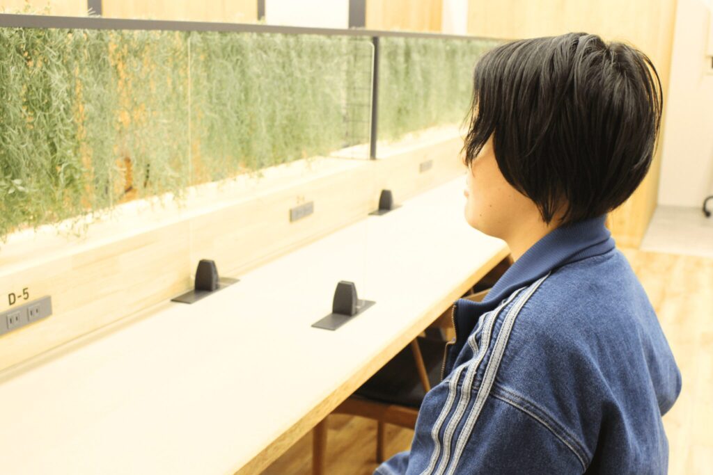 【明治大学 法学部 合格】学校のテストは特別な対策なしでも上位に。英語の土台を固めて合格へ