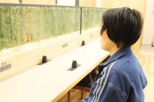 【明治大学 法学部 合格】学校のテストは特別な対策なしでも上位に。英語の土台を固めて合格へ